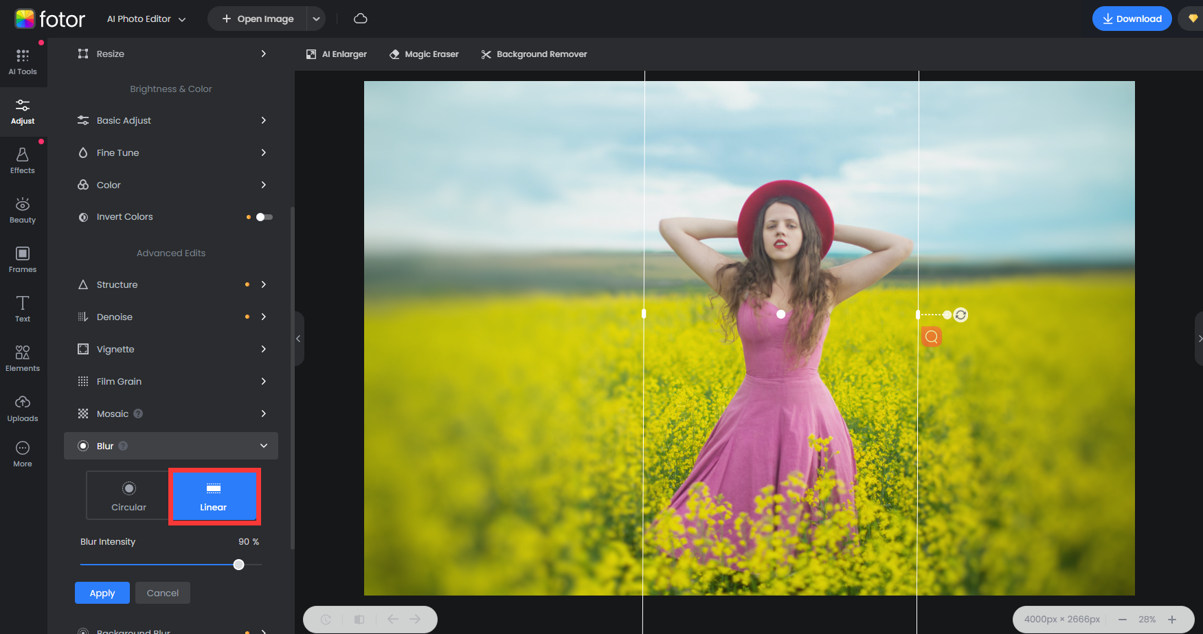 Fotor blur tool UI example